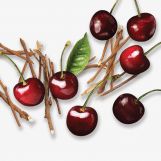 Coda Signature Cherry & Sarsaparilla Fruit Gallery Image